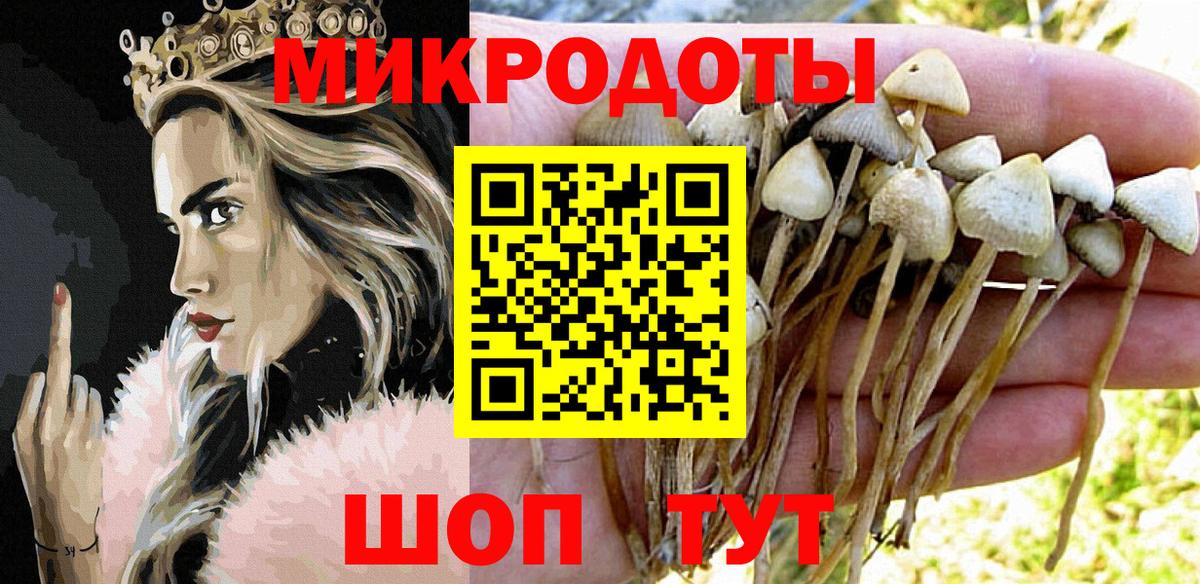 Галлюциногенные грибы Psilocybe Спасск-Дальний